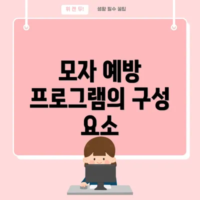 모자 예방 프로그램의 구성 요소
