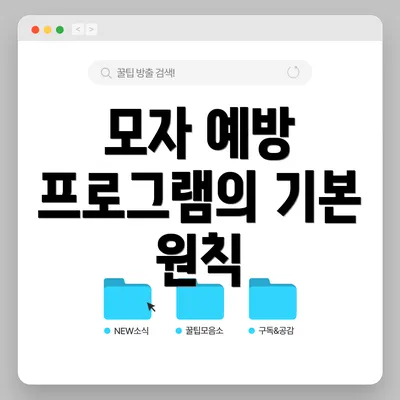 모자 예방 프로그램의 기본 원칙