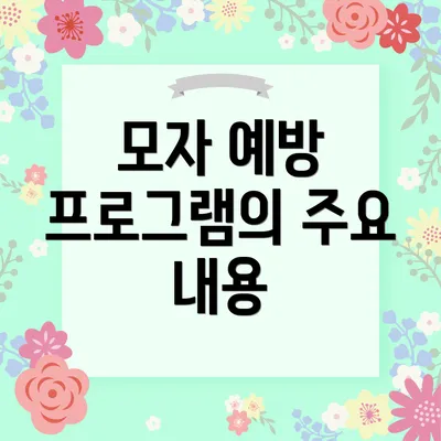 모자 예방 프로그램의 주요 내용