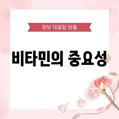 비타민의 중요성