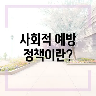 사회적 예방 정책이란?
