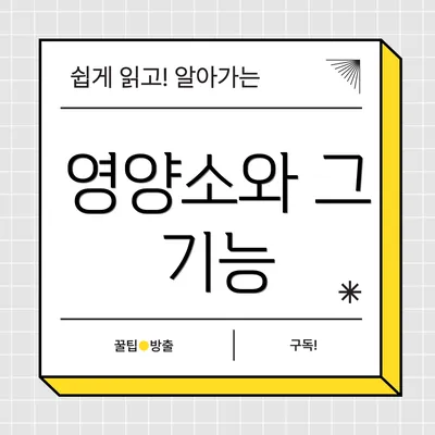영양소와 그 기능
