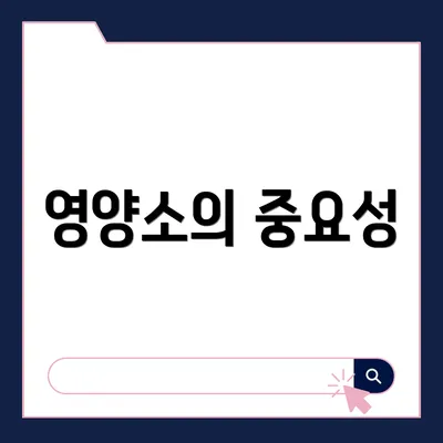 영양소의 중요성
