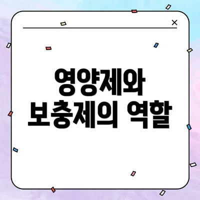 영양제와 보충제의 역할