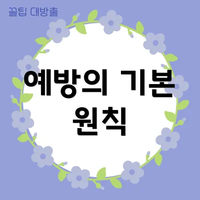 예방의 기본 원칙