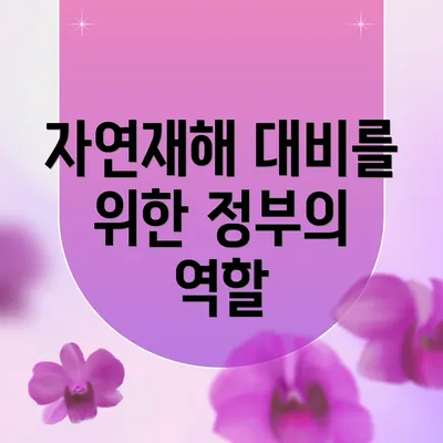 자연재해 대비를 위한 정부의 역할