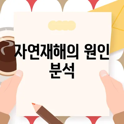 자연재해의 원인 분석