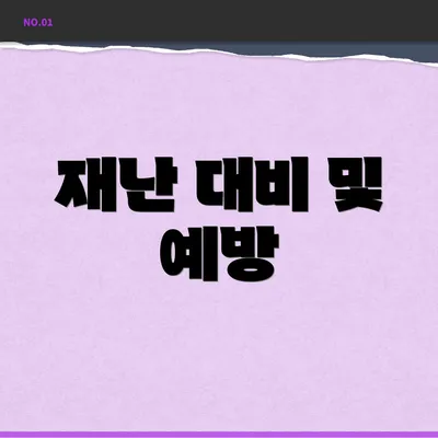 재난 대비 및 예방