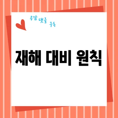 재해 대비 원칙