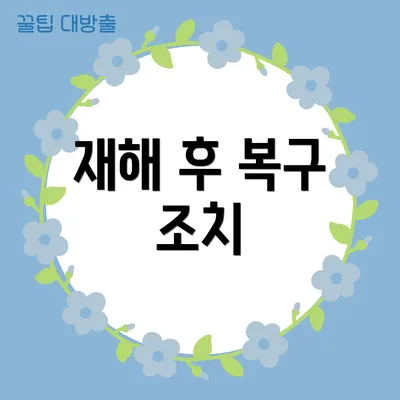 재해 후 복구 조치
