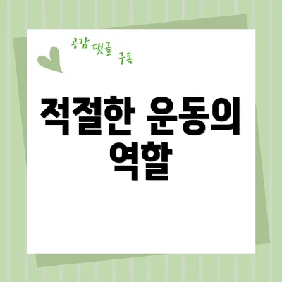 적절한 운동의 역할