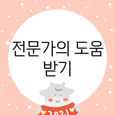 전문가의 도움 받기