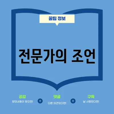 전문가의 조언