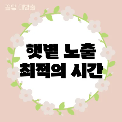 햇볕 노출 최적의 시간