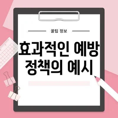 효과적인 예방 정책의 예시
