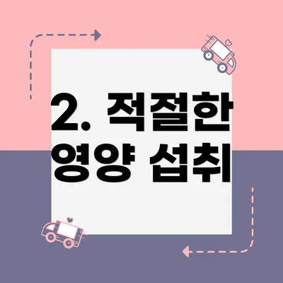 2. 적절한 영양 섭취
