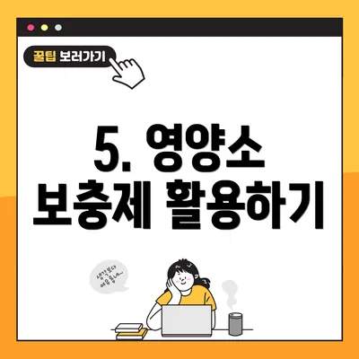 5. 영양소 보충제 활용하기