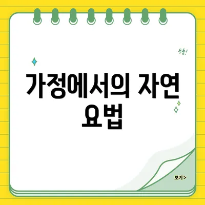가정에서의 자연 요법