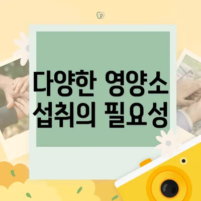 다양한 영양소 섭취의 필요성