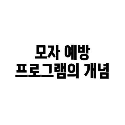 모자 예방 프로그램의 개념