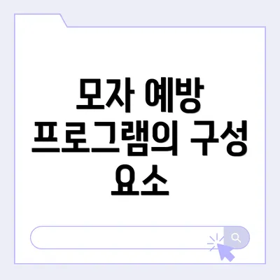 모자 예방 프로그램의 구성 요소