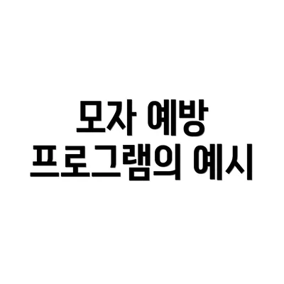 모자 예방 프로그램의 예시