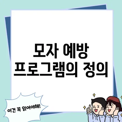 모자 예방 프로그램의 정의