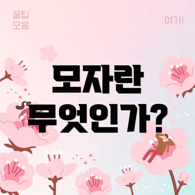 모자란 무엇인가?