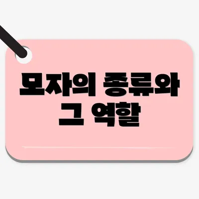 모자의 종류와 그 역할