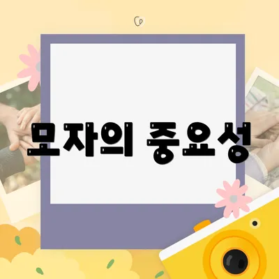 모자의 중요성