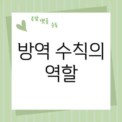 방역 수칙의 역할