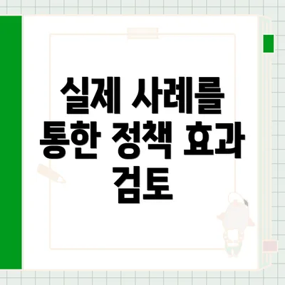 실제 사례를 통한 정책 효과 검토