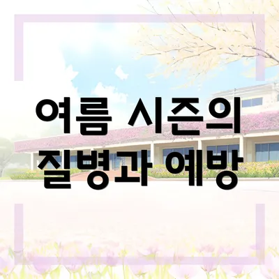 여름 시즌의 질병과 예방