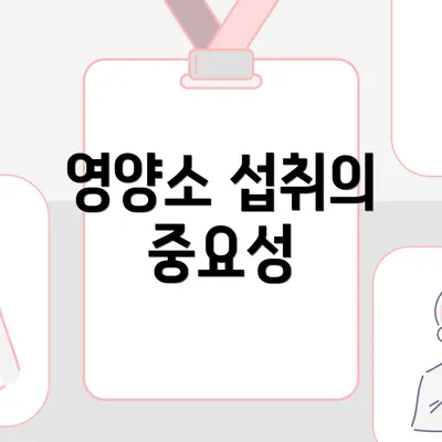 영양소 섭취의 중요성