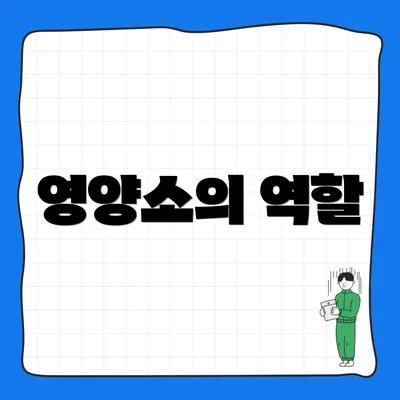 영양소의 역할