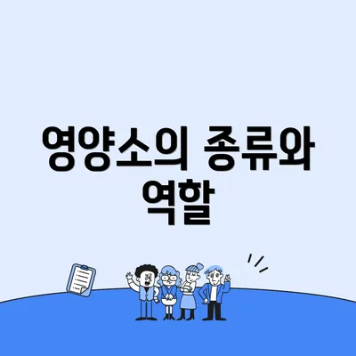 영양소의 종류와 역할