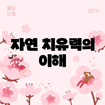 자연 치유력의 이해