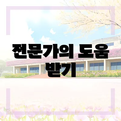 전문가의 도움 받기