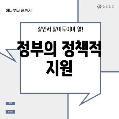 정부의 정책적 지원