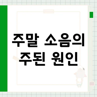 주말 소음의 주된 원인