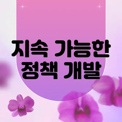 지속 가능한 정책 개발