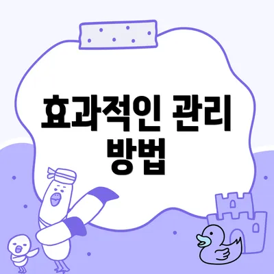 효과적인 관리 방법