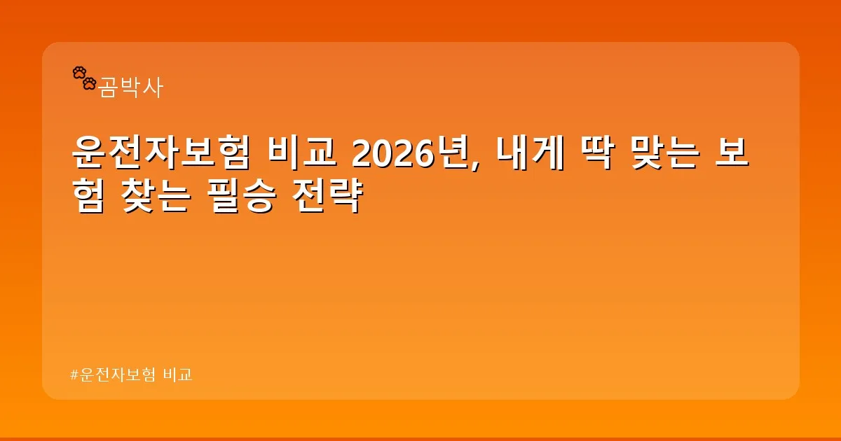 운전자보험 비교 - cksdidwh.kr 캐릭터