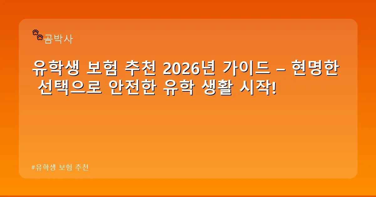 유학생 보험 추천 - cksdidwh.kr 캐릭터