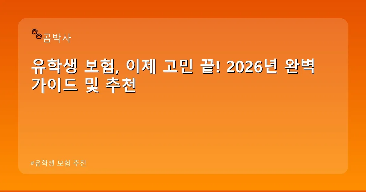 유학생 보험 추천 - cksdidwh.kr 캐릭터
